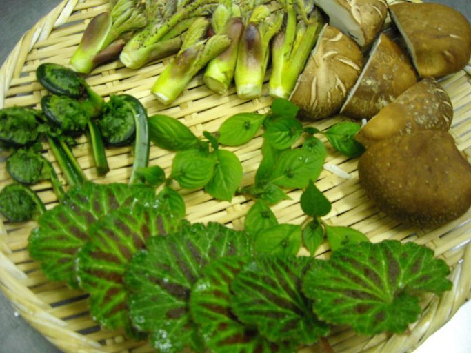 Food & Drinks 4, Irorinoyado Sankiti Hot Spring Ryokan, Izu