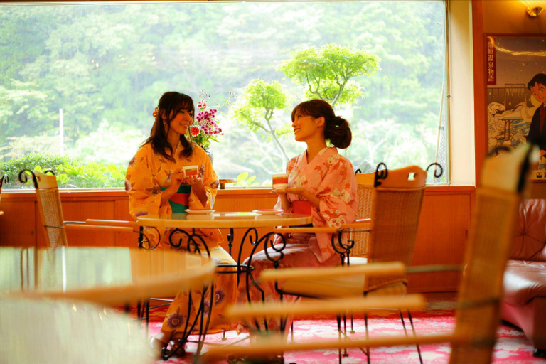 Public Area 3, Yubara Kokusai Kanko Hotel Kikunoyu, Maniwa
