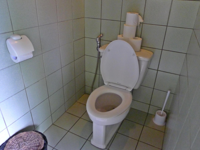 Bathroom 3, Native Village Inn, Banaue