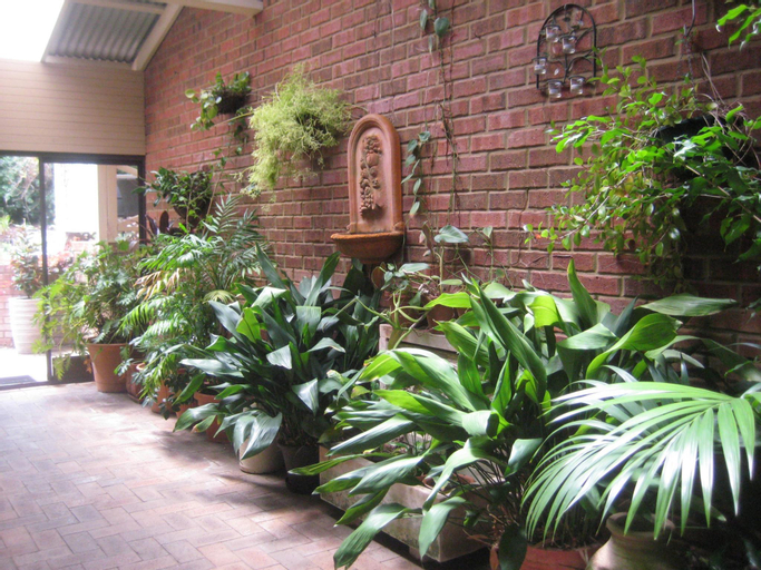 Edge Of The Forest, Augusta-Margaret River