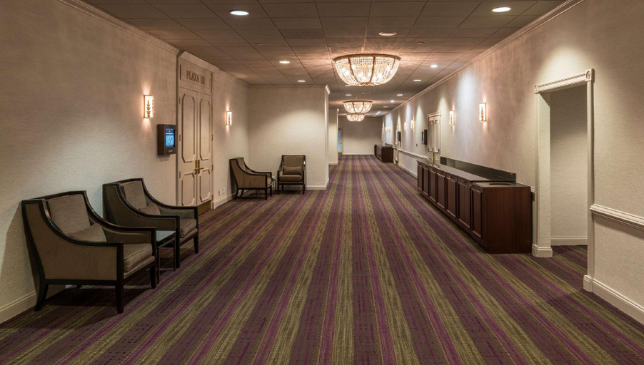 Public Area 3, Hilton Washington DC/Rockville Hotel & Executive Meeting Ctr, Montgomery