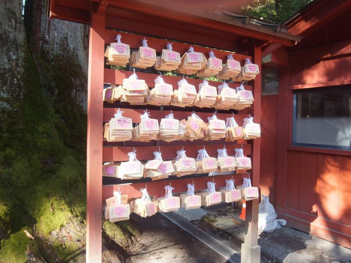 Others 3, Nikko Tokanso Hotel, Nikkō