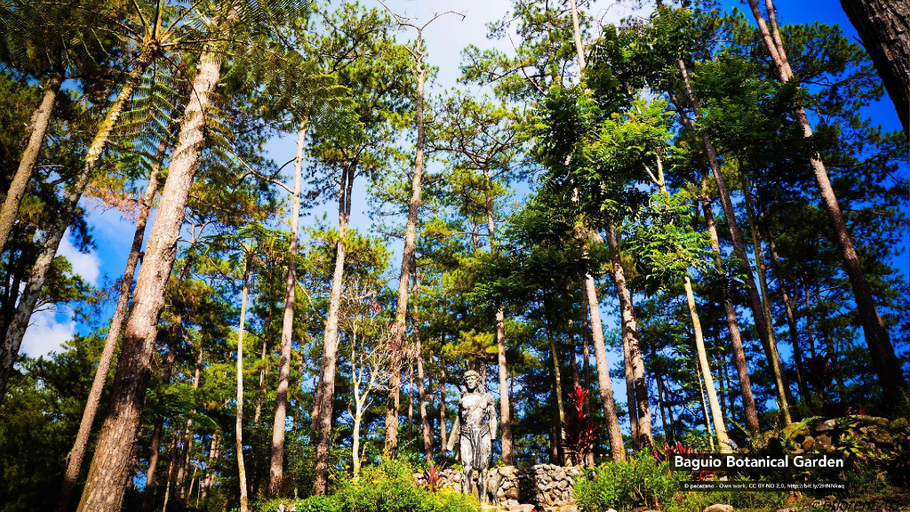 Others 5, ZEN Rooms Venus Parkview Baguio, Baguio City