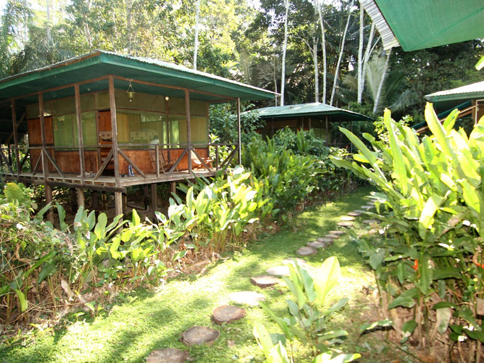 Others 4, Amazon Planet, Tambopata