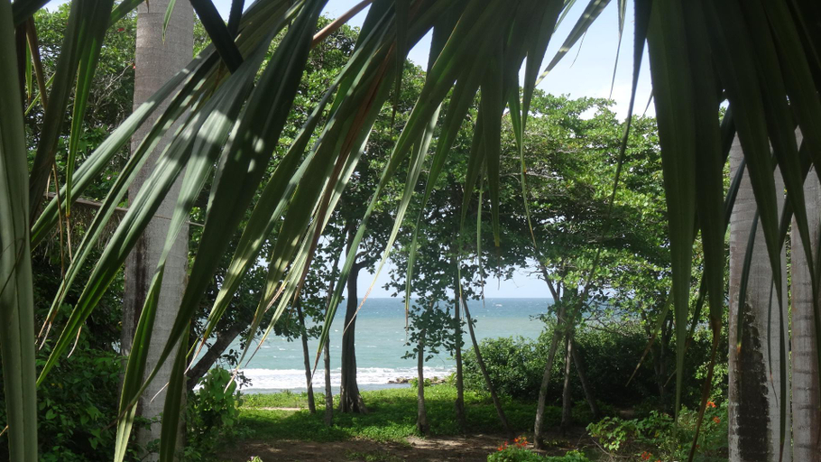 4, Holidays Guadeloupe, Sainte-Rose