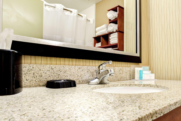 Bathroom 4, Hampton Inn St. Joseph, Buchanan