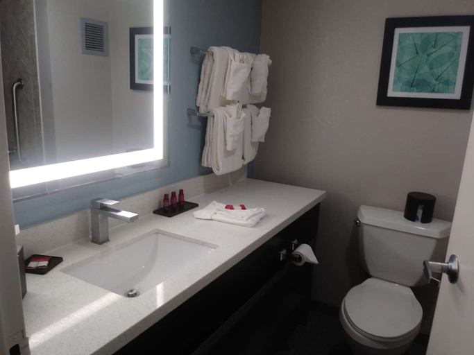 Bathroom 5, Jacksonville Hotel, Duval