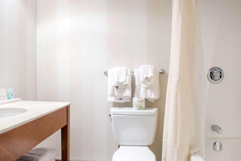 Bathroom 4, Quality Inn & Conference Centre, Renfrew
