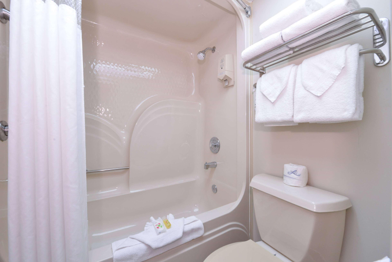 Bathroom 4, Ramada by Wyndham Branson, Taney