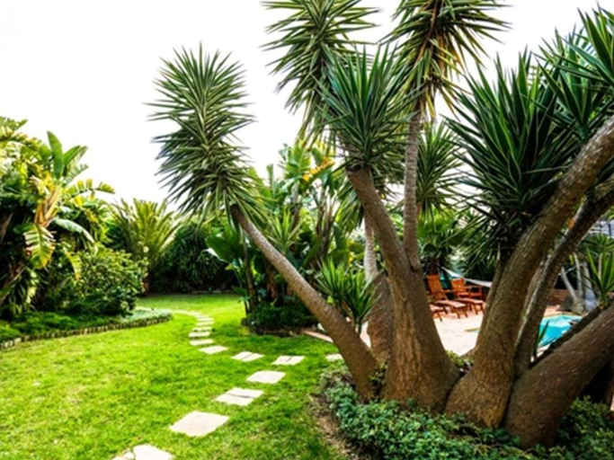 Others 4, Secret Garden Guesthouse, City of Cape Town