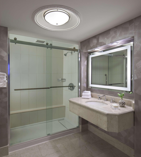 Bathroom 4, Hilton Washington DC Capitol Hill, Washington D.C.