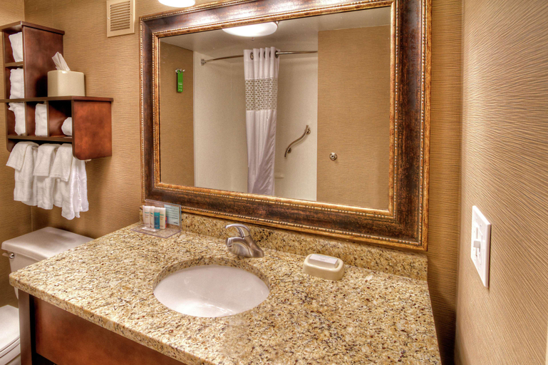 Bathroom 4, Hampton Inn Jonesville/Elkin, Yadkin