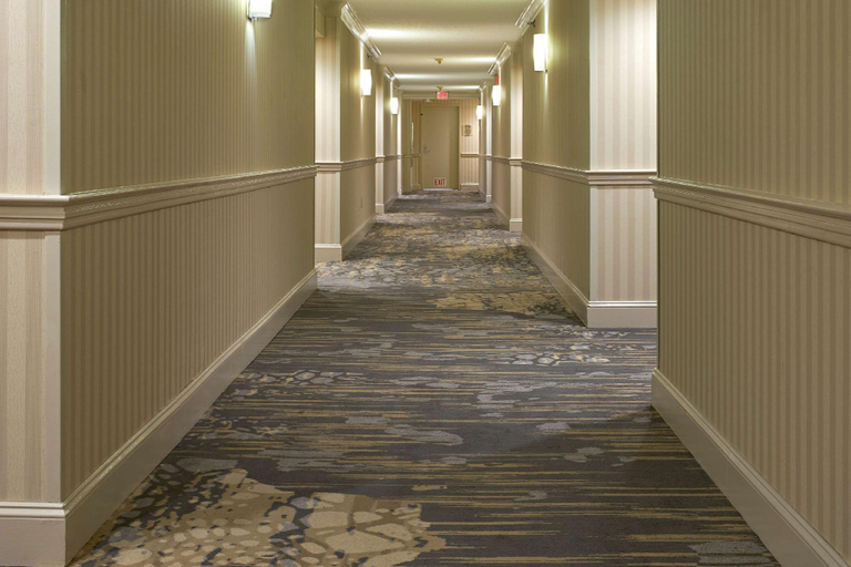 Public Area 2, Hilton Raleigh North Hills, Wake