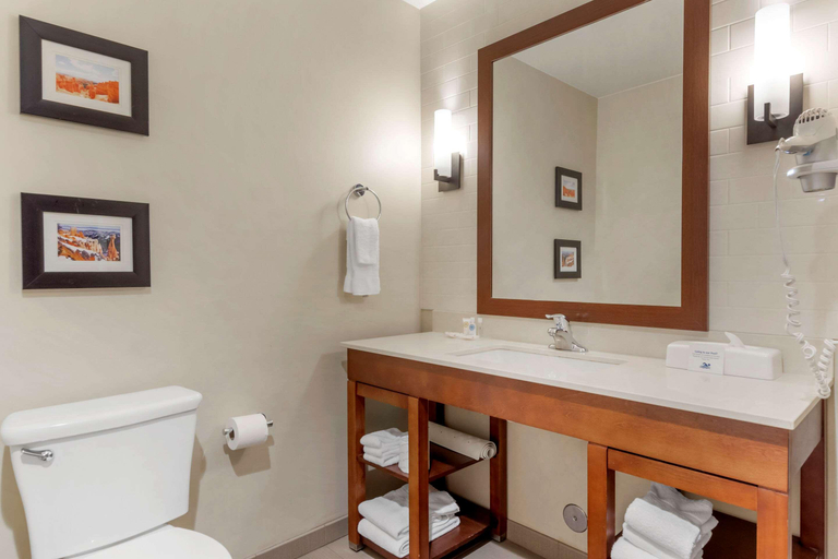Bathroom 4, Comfort Suites Saint George, Washington