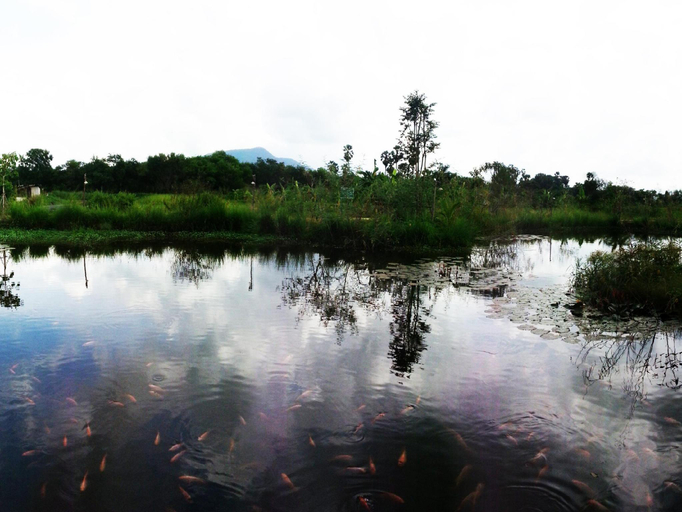 Others 5, BanRai ChernMa Resort, Muang Tak