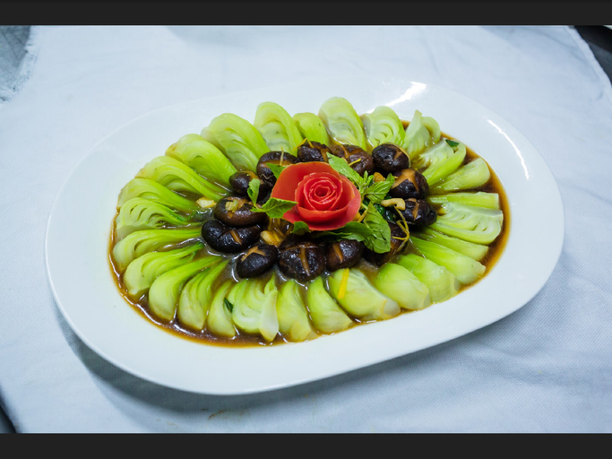 Food & Drinks 19