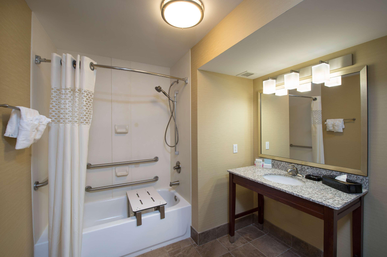 Bathroom 4, Hampton Inn Cornelia, Habersham