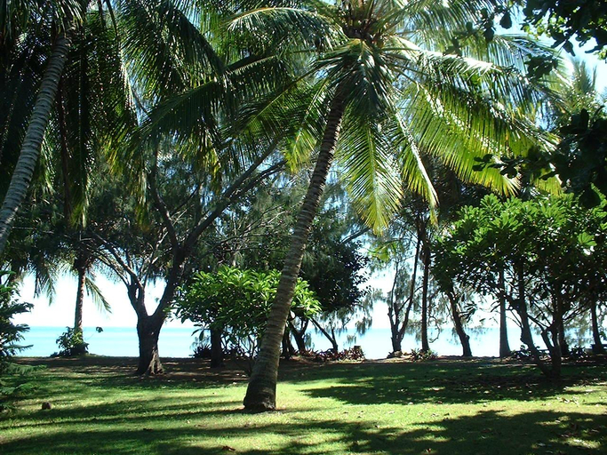 Others 4, Beachside Holiday Units, Bowen