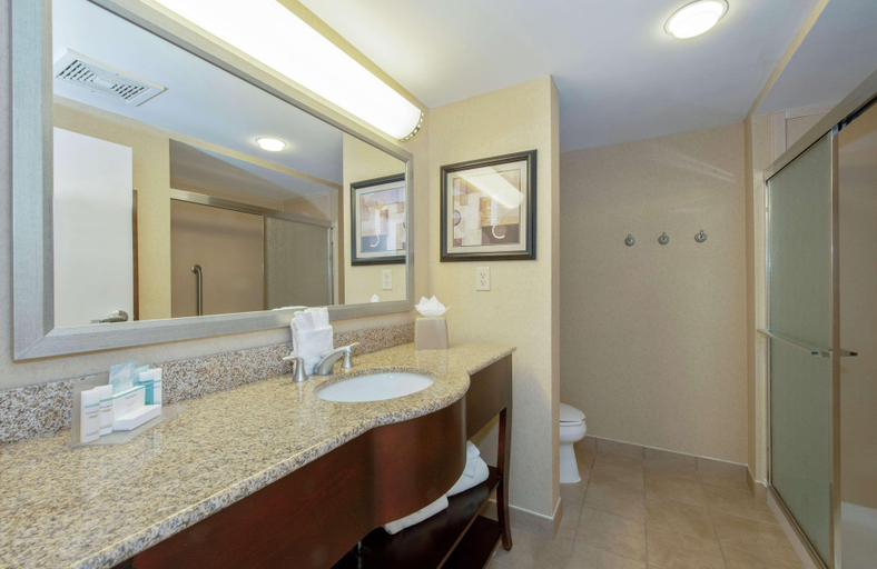Bathroom 4, Hampton Inn & Suites Burlington, Alamance