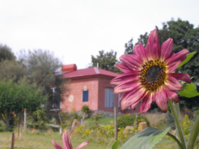 Cherry Top Farmstay - Boutique Eco Village, Launceston - Pt C