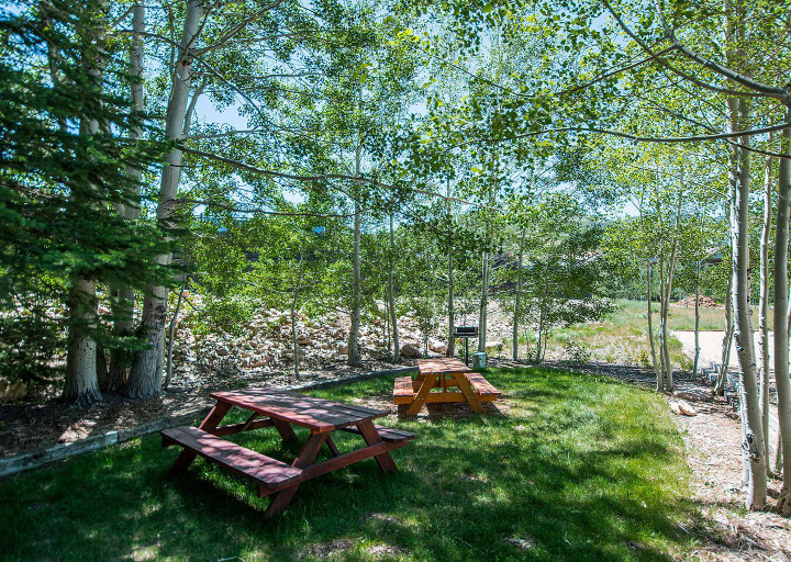 Others 4, Red Pine Condominiums, Summit