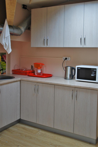 Shared kitchen, Silver Owl, North-Western