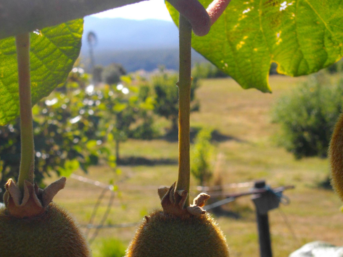 Others 3, Cherry Top Farmstay - Boutique Eco Village, Launceston - Pt C