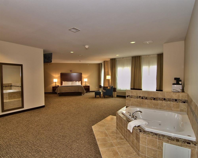 Bathroom 5, Comfort Inn Apalachin / Binghamton W Route 17, Tioga