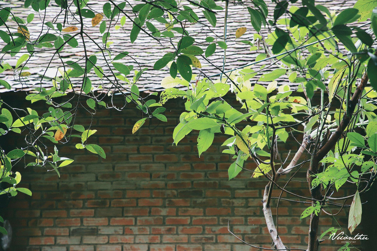 Others 3, Vuon Thu Guest House Garden, Kon Tum