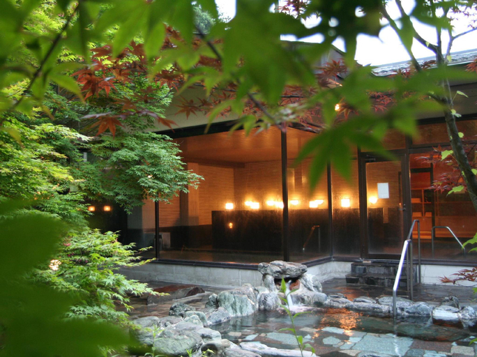 Spa 5, Okunoin Hotel Tokugawa, Nikkō