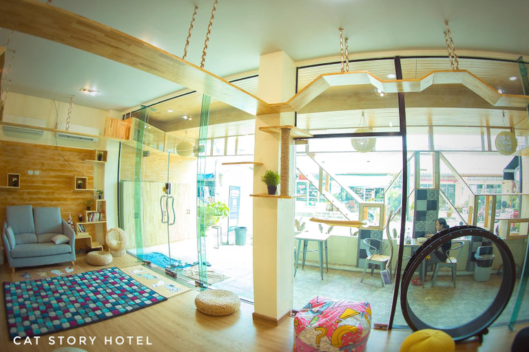 Bedroom 3, Cat Story Hotel, Phuket Island