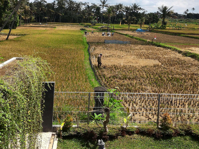 Others 5, Long Lane Villa, Gianyar