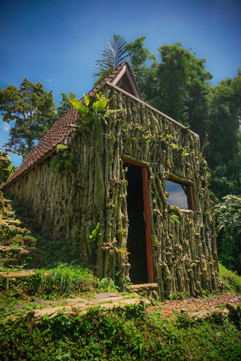 Kampung Kopi Camp, Tabanan