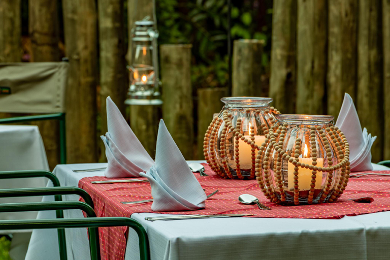 Food & Drinks 3, Gecko Lodge, Ehlanzeni