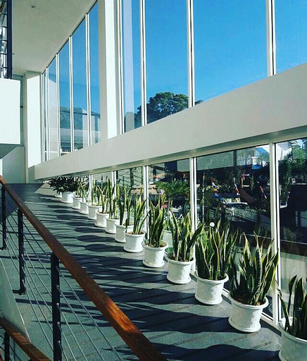 Terra Cassa Hotel, Semarang