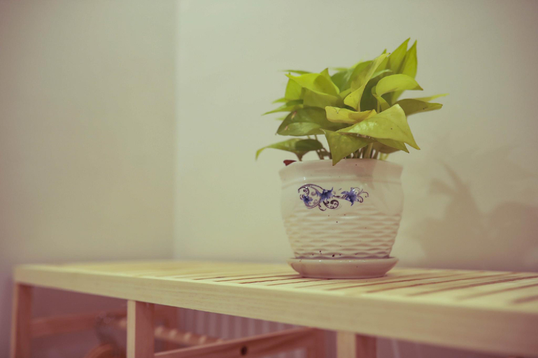 Others 5, Kiss Hotel Tan Binh, Tân Bình