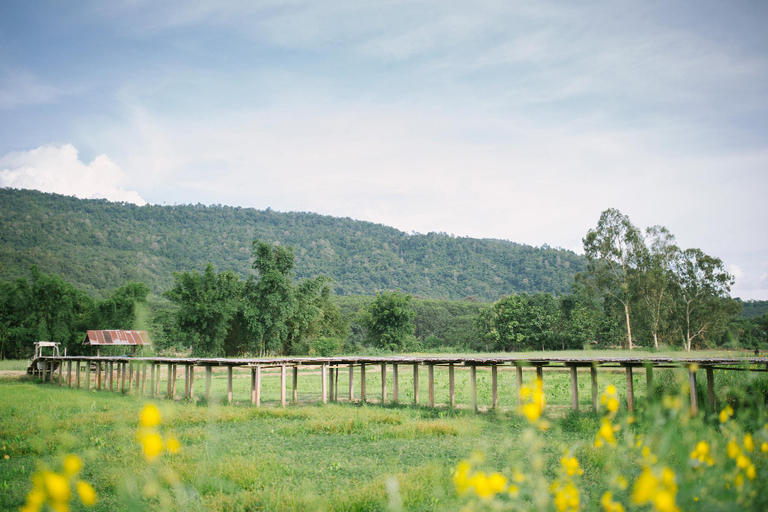 Others 4, Phuruarounmai Resort, Phu Rua