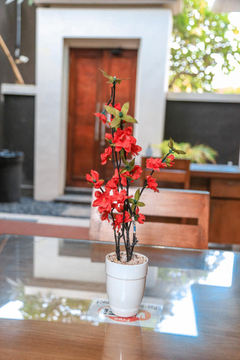 Public Area 3, Alia Home Sanur, Denpasar