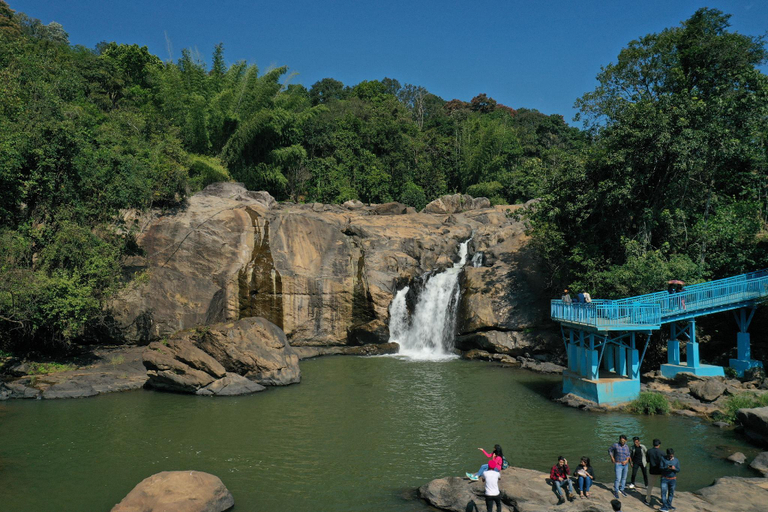 Others 5, Lemon Grass Inn, Idukki