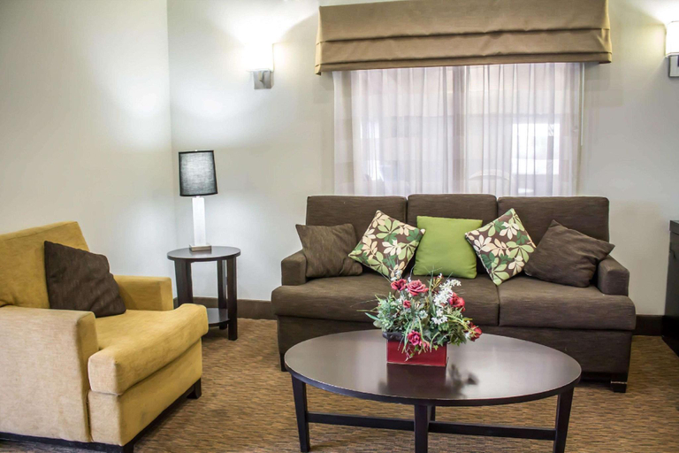 Public Area 2, Sleep Inn Austintown - Youngstown, West, Mahoning