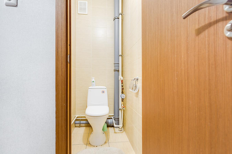 Others 3, Cozy large apartment in a green district, Sankt-Peterburg gorsovet