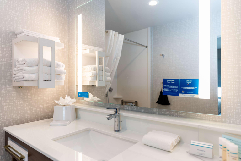 Bathroom 4, Hampton Inn & Suites Houston Sugar Land, Fort Bend