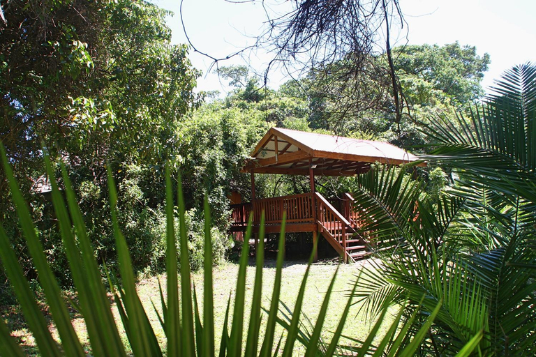Others 4, Mtunzini Forest Lodge, Uthungulu