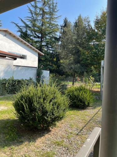 Domy Loft, Cuneo