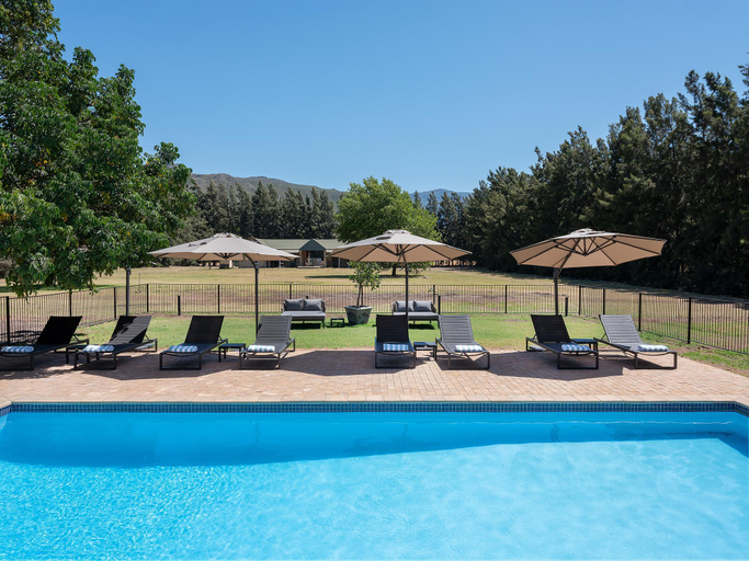 Sport & Beauty 2, Lynx Wine Estate, Cape Winelands