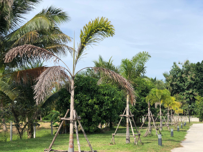 Others 4, CoCo Tree Resort, Thap Sakae