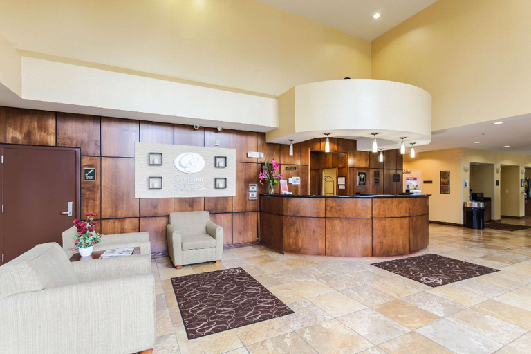 Public Area 2, Comfort Suites East Lincoln - Mall Area, Lancaster