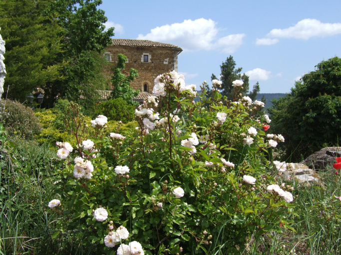 Others 5, Les Jardins de l'Abbaye, Alpes-de-Haute-Provence
