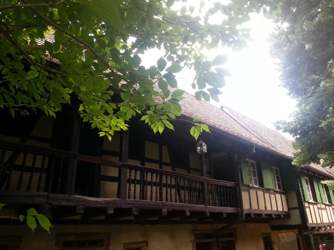 Others 3, Unter der Linde, Bas-Rhin