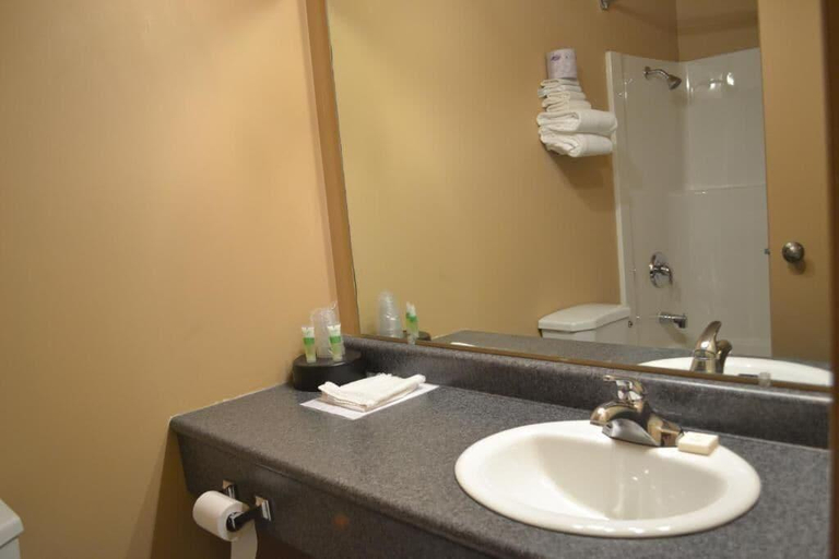 Bathroom 4, Morden Motor Inn, Division No. 3